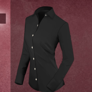 Women Blouse